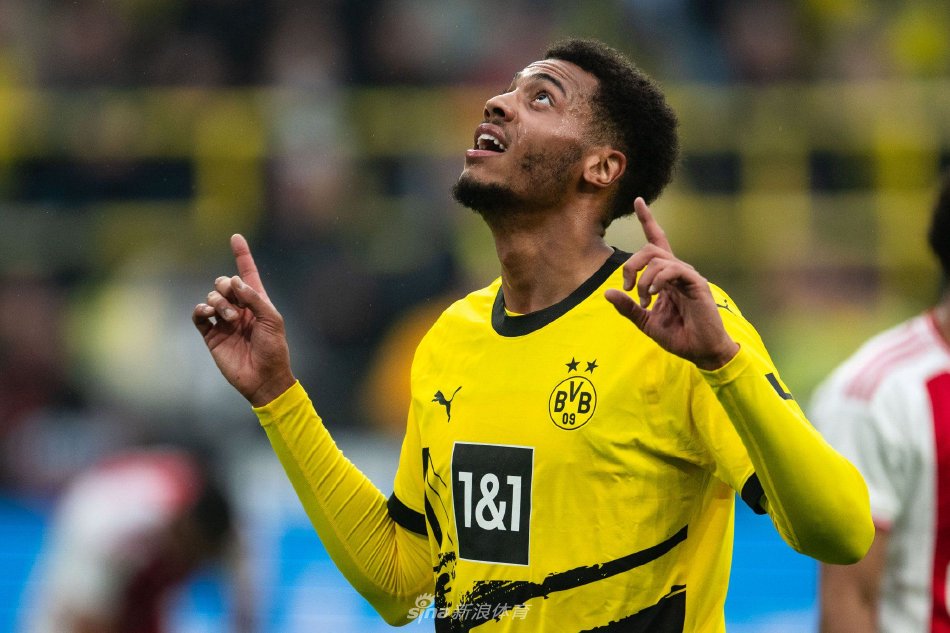 的布局与心 的布局与心